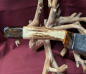 Preview: Damastmesser 5028D