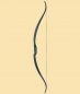 Preview: Tribute Recurve