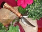 Preview: Messer mit Geweihgriff MG-3001
