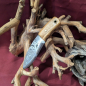Preview: Messer mit Holzgriff 5061