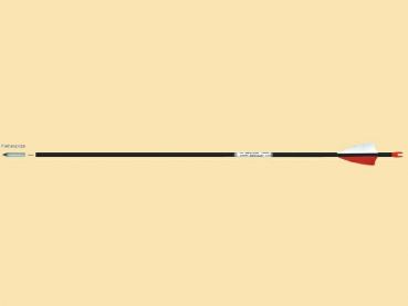 Fertigpfeil VECTOR Carbon - 1000  -  ab 4 Stück