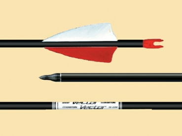 Preview: Fertigpfeil VECTOR Carbon - 1000  -  ab 4 Stück