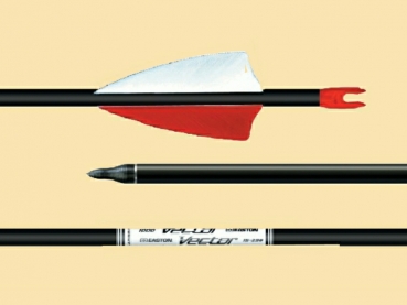 Preview: Fertigpfeil VECTOR Carbon - 1400  - ab 4 Stück