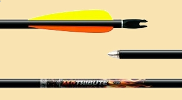 Fertigpfeil Tribute XX75 - 1716 - ab 3 Stück