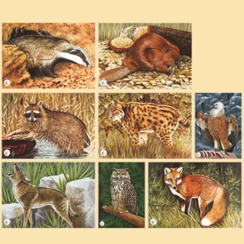 Tierbildauflagen-Set KR - 8x 5 Auflagen - gemischt