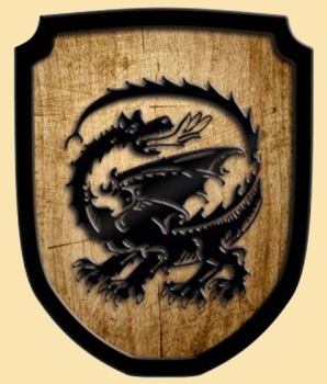 Drache  -  natur  -  Wappenschild