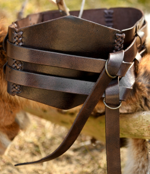 Preview: Breiter Ledergürtel, Doppelgürtel mit Flechtnaht, dunkelbraun - L