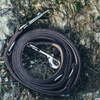 Preview: Set Hundeleine "Ferris" + Halsband "Maddox"  -  dunkelbraun