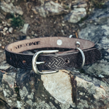 Preview: Set Hundeleine "Ferris" + Halsband "Maddox"  -  dunkelbraun