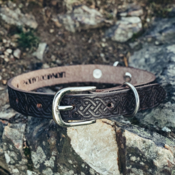 Hundehalsband "Maddox" mit keltischer Punzierung  -  dunkelbraun