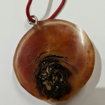Preview: Kette mit Anhänger aus Harz mit Tannenzapfen