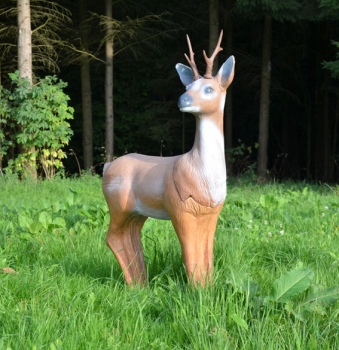 Preview: LongLife Rehbock Kategorie 3