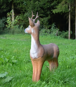 Preview: LongLife Rehbock Kategorie 3