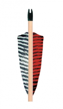 Preview: Fertigpfeil - Fichte Barred 11/32  - ab 3 Stück