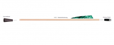 Fertigpfeil - Fichte ECC 11/32 Gummiblunt  - ab 3 Stück