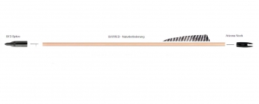 Fertigpfeil - Zeder Barred 11/32   - ab 3 Stück