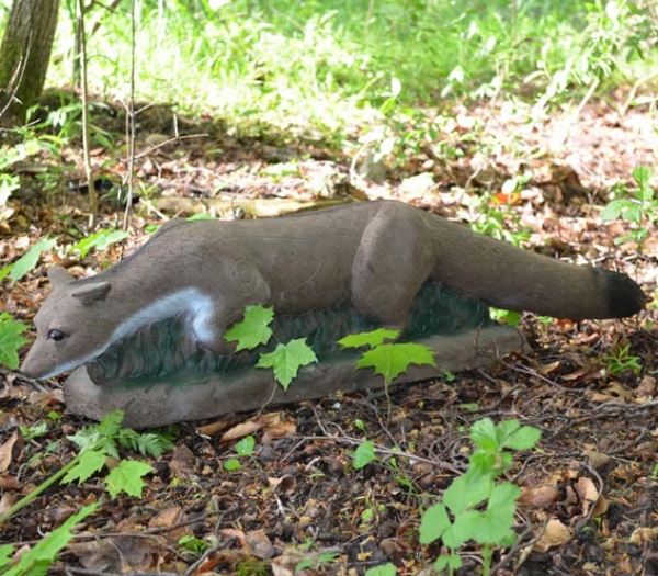 IBB laufender Steinmarder