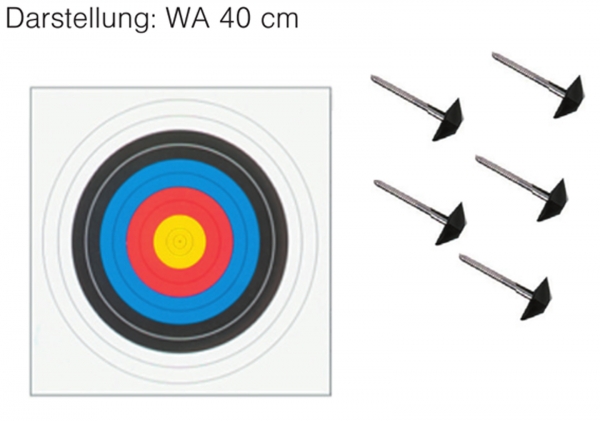 Scheibenset WA 80 cm