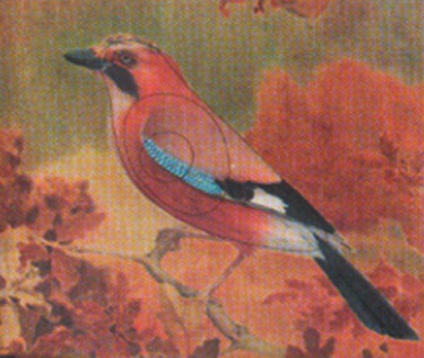 Tierscheibenauflage Eichelhäher  - ab 10 Stück