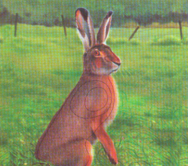 Tierscheibenauflage Hase - ab 10 Stück