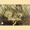 Scheibenauflage KR HASE - ab 10 Stück