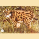 Scheibenauflage KR LUCHS - ab 5 Stück