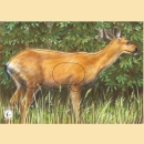 Scheibenauflage KR Weißwedelhirsch - ab 2 Stück