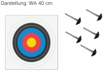 Scheibenset WA 60 cm