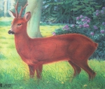 Tierscheibenauflage Reh - ab 5 Stück